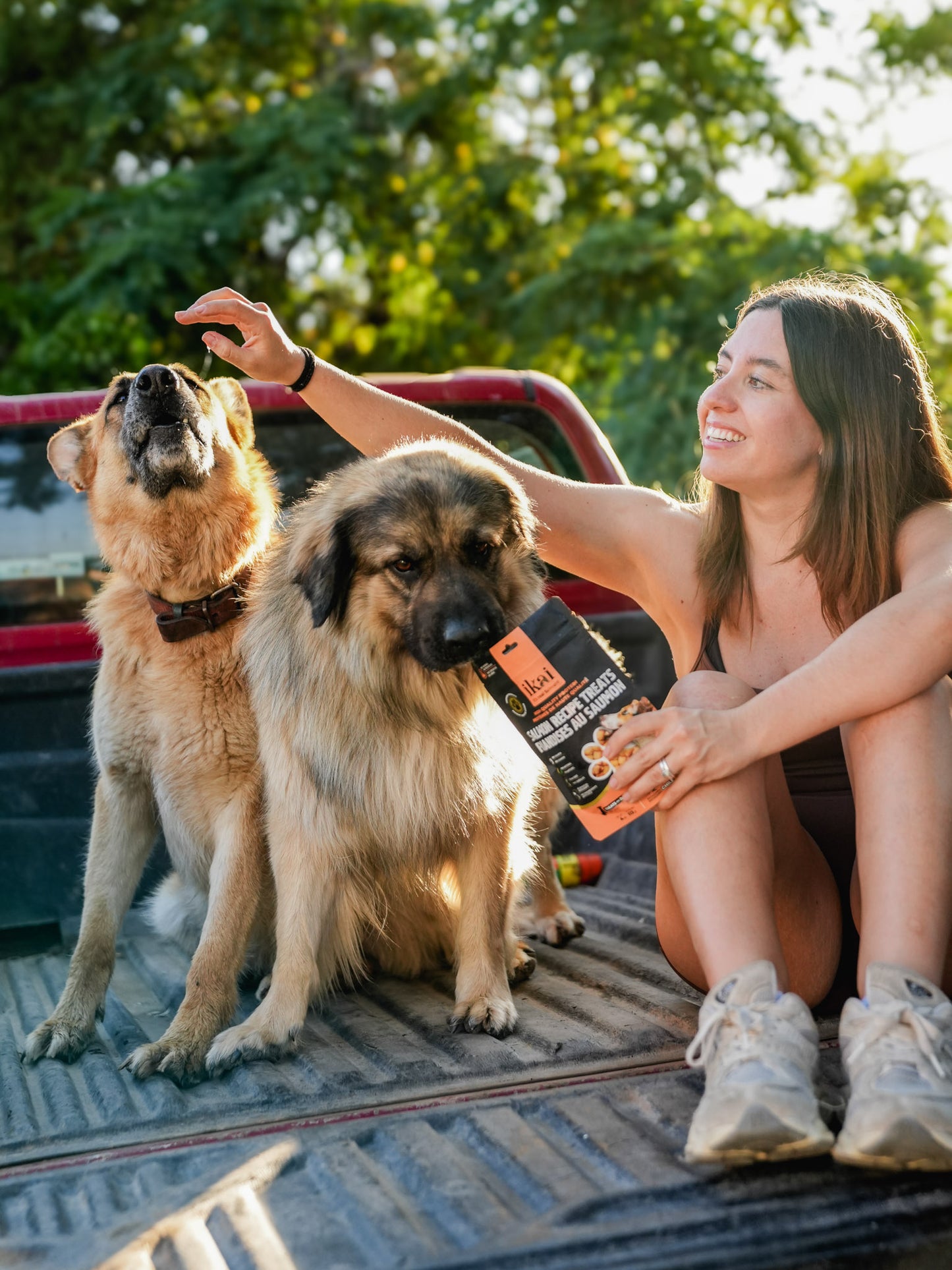 Snack Horneado para Perros