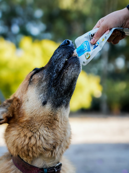 PACK PERRO: 5 Mousse