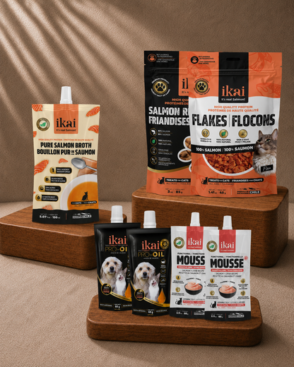 PACK GATO: 1 snack + 1 flake + 1 caldo + 2 mousse + 2 aceites