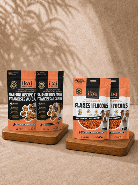 PACK PERRO: 2 snacks + 2 flakes