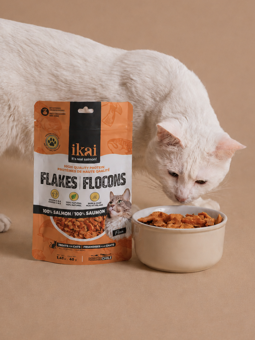 PACK GATO: 2 snacks + 2 flakes