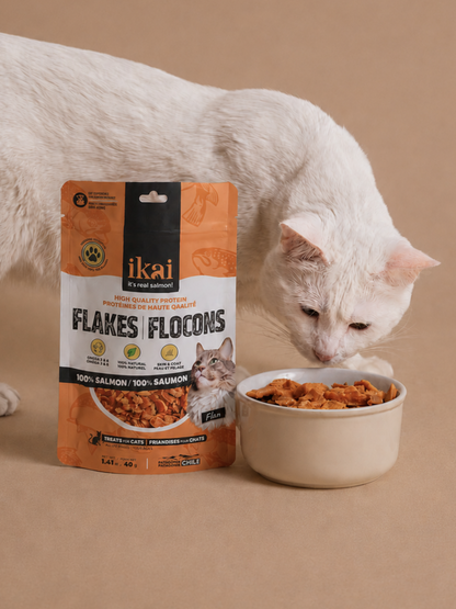 PACK GATO: 2 snacks + 2 flakes
