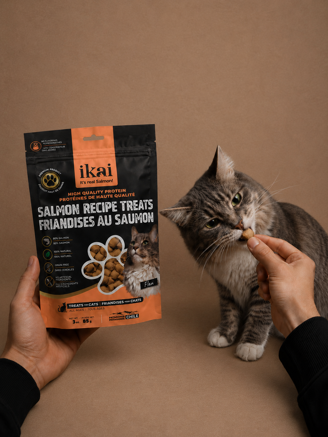 PACK GATO: 2 snacks + 2 flakes