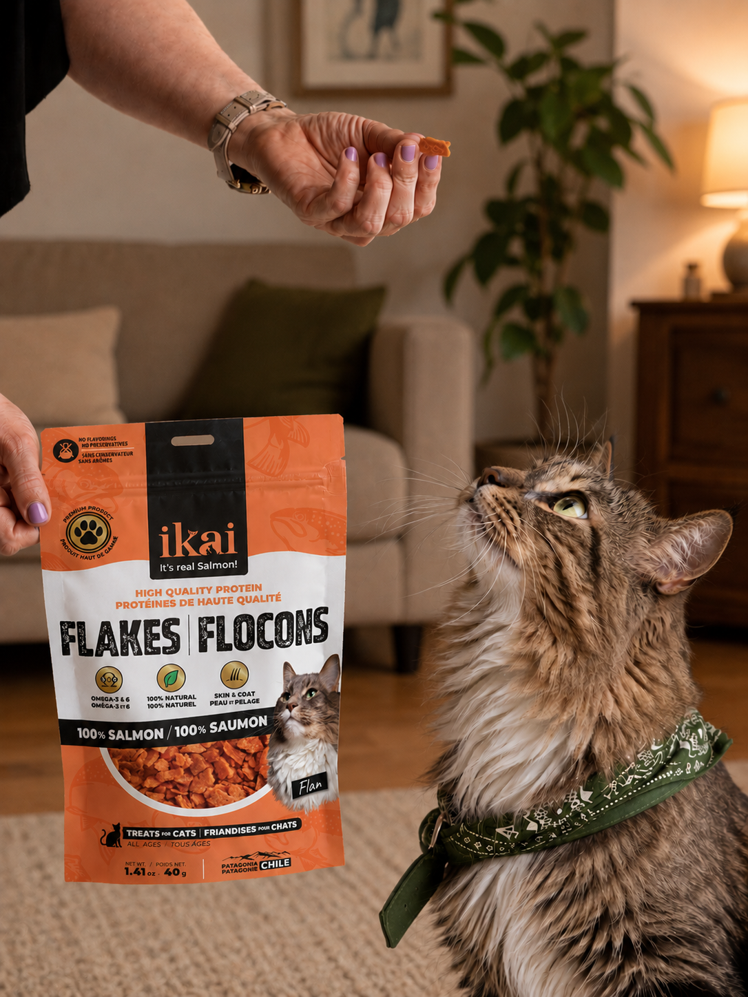 PACK GATO: 2 snacks + 2 flakes