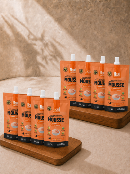 PACK GATO: 8 mousse