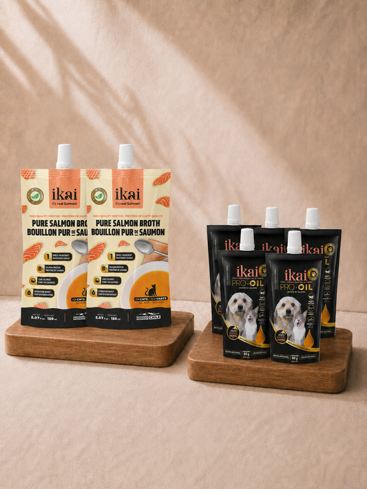 PACK GATO: 2 caldos + 5 aceites