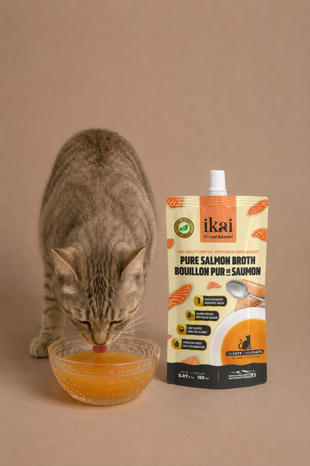 PACK GATO: 2 caldos + 5 aceites
