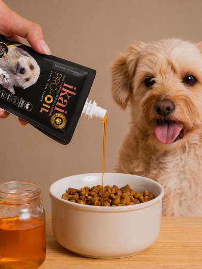 PACK PERRO: 3 MOUSSE + 6 ACEITES