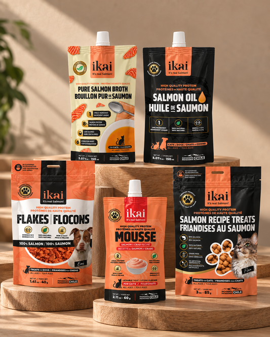 Pack GATO: 1 Snack + 1 Flake + 1 Caldos + 1 Mousse + 1 Aceite