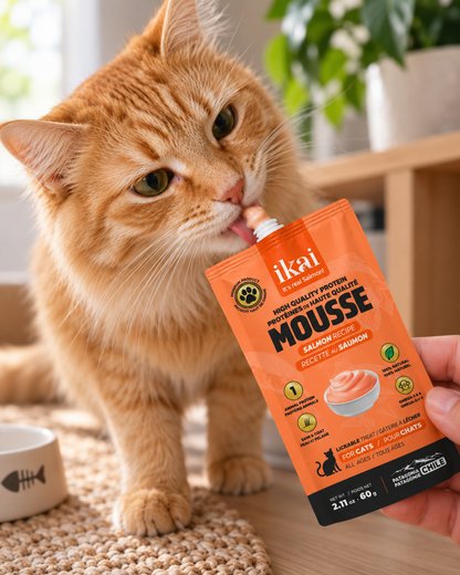 Mousse salmón para gatos