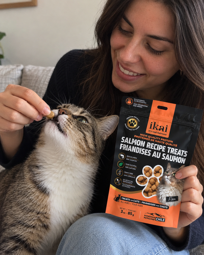 Pack GATO: 1 Snack + 1 Flake + 1 Caldos + 1 Mousse + 1 Aceite