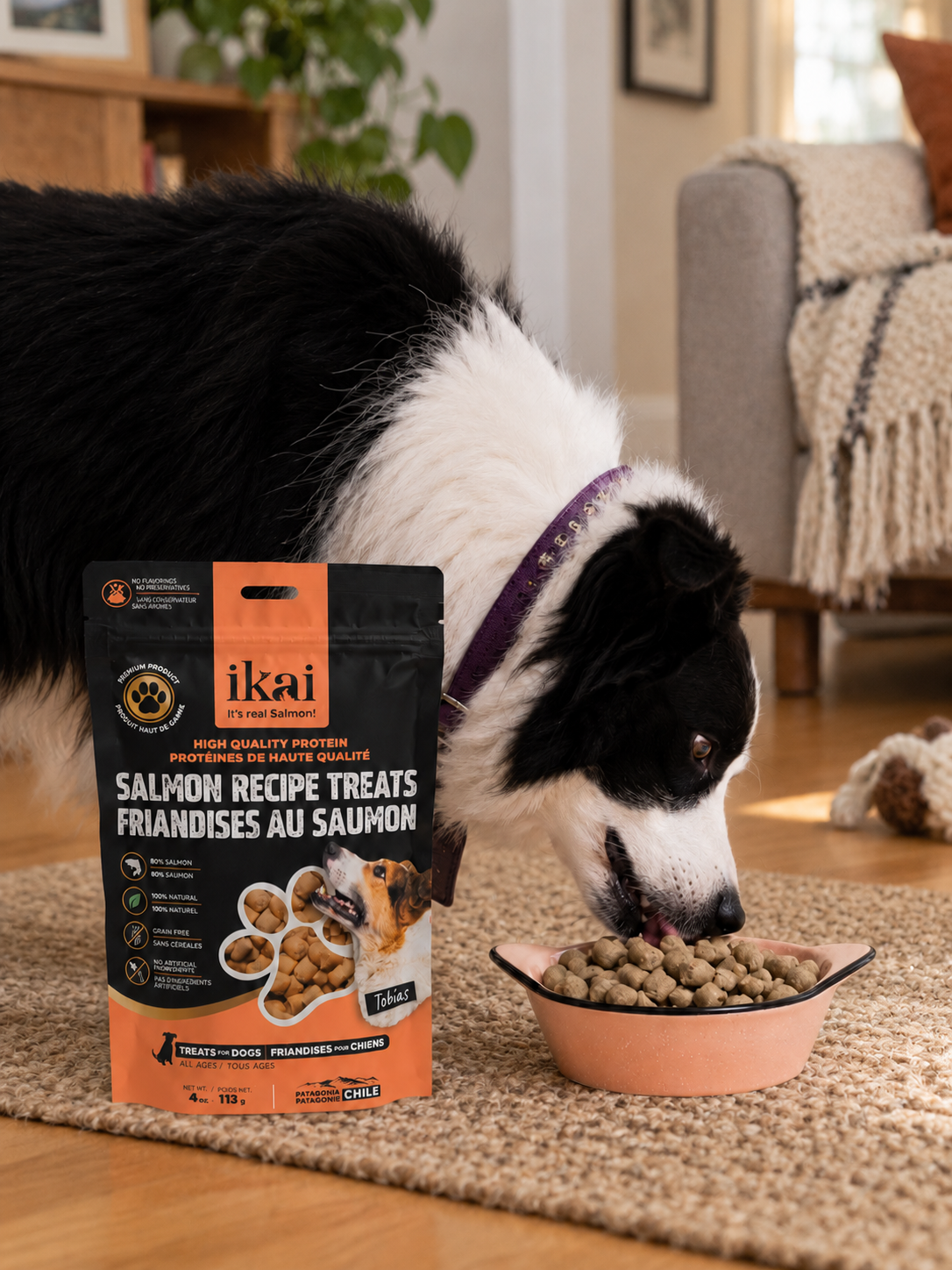 Snack Horneado para Perros