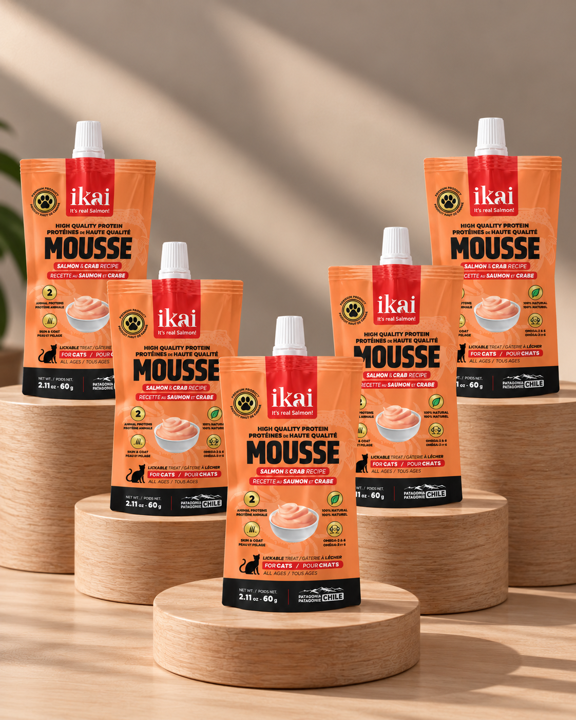 Pack GATO: 5 Mousse