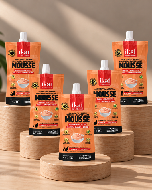 Pack GATO: 5 Mousse