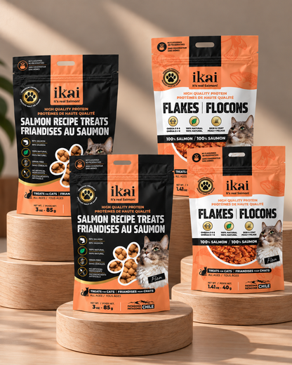 Pack GATO: 2 Snack + 2 Flake