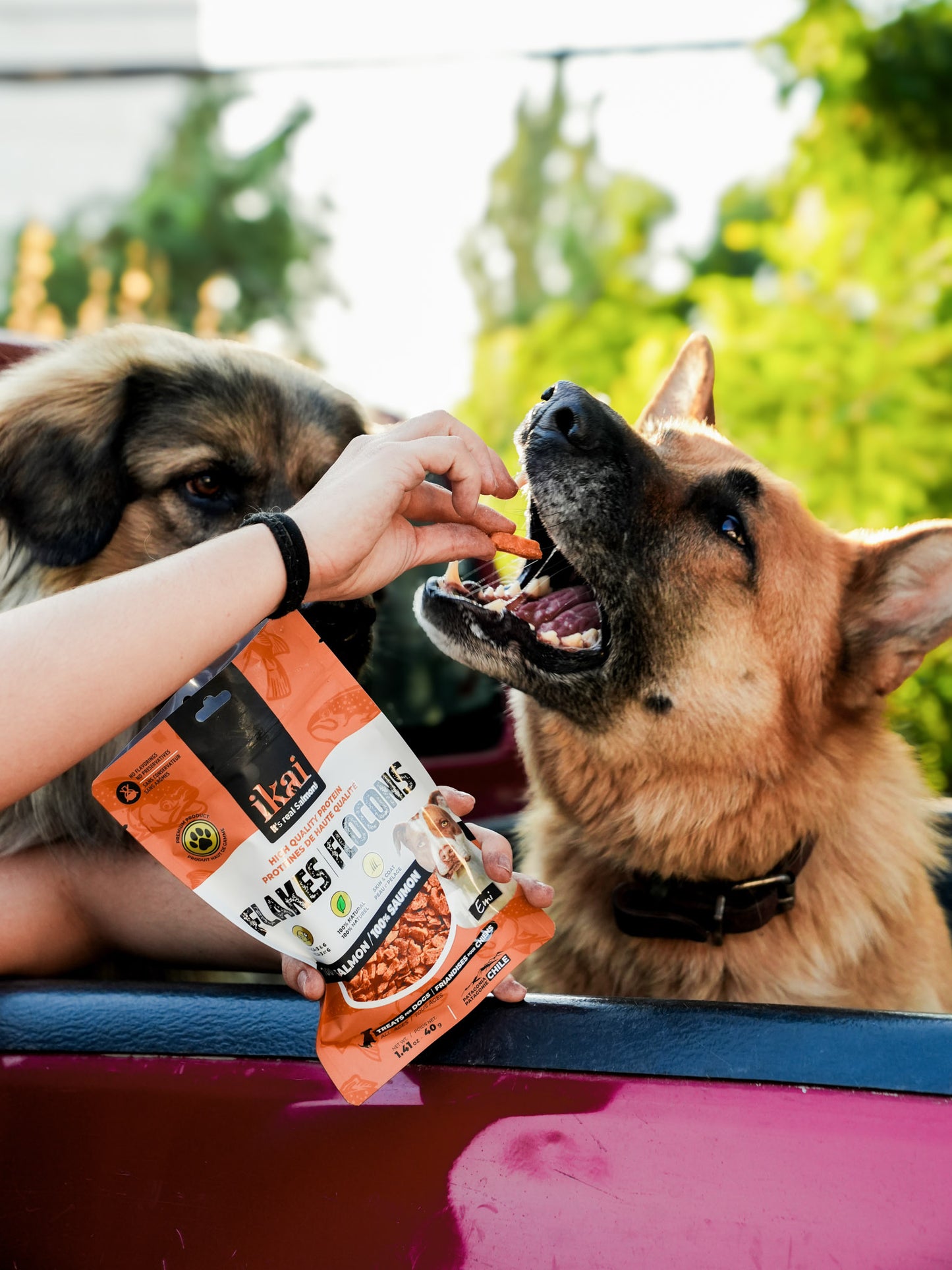 PACK PERRO: 2 snacks + 2 flakes
