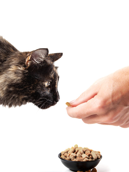 SNACKS horneados de salmón para gatos - 113 gr