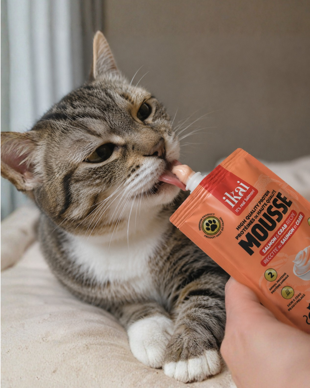 Mousse salmón y cangrejo para gatos