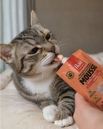 Mousse salmón y cangrejo para gatos