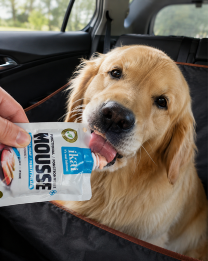 Pack PERRO: 1 Snack + 1 Caldo + 1 Mousse + 1 Aceite