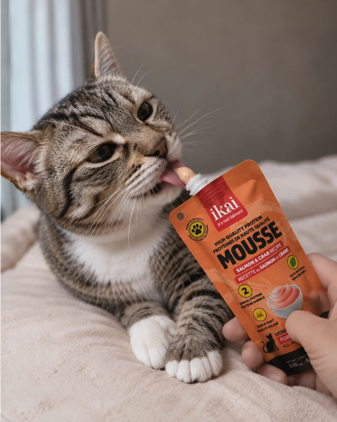Mousse Salmón y Cangrejo para Gatos
