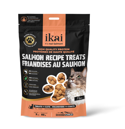PACK GATO: 2 snacks + 2 flakes