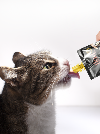 MOUSSE de salmón y cangrejo para gatos - 60 grs