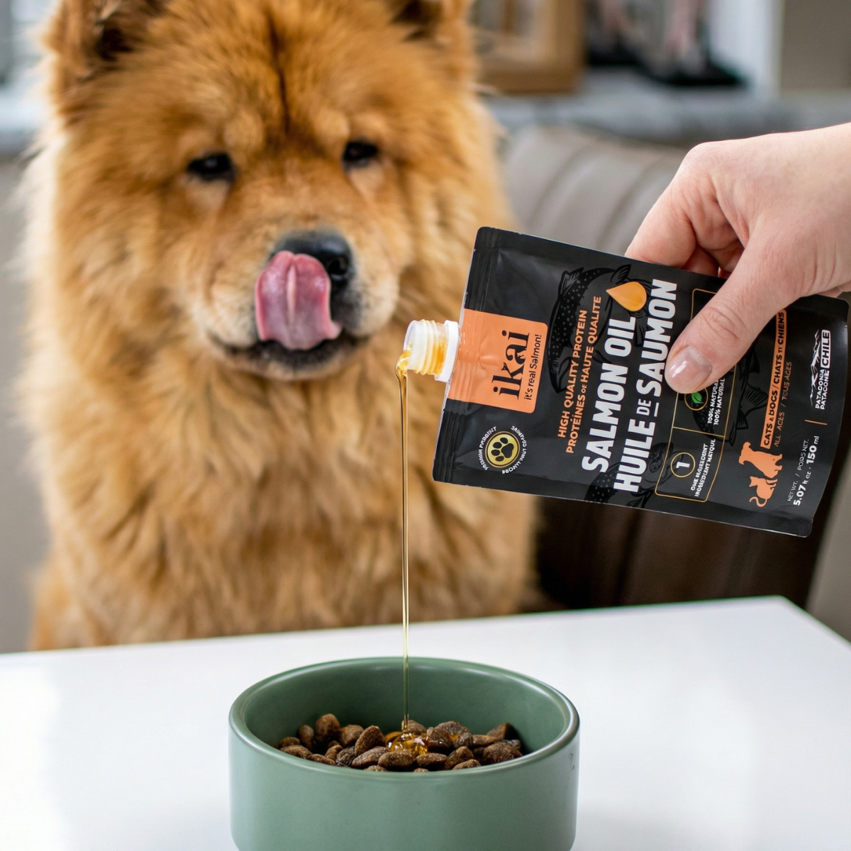Pack PERRO: 3 Mousse Piel y Pelaje + 3 Aceites