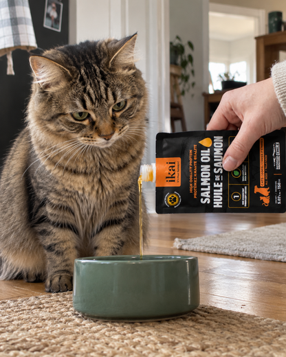 Pack GATO: 3 Mousse + 2 Aceites