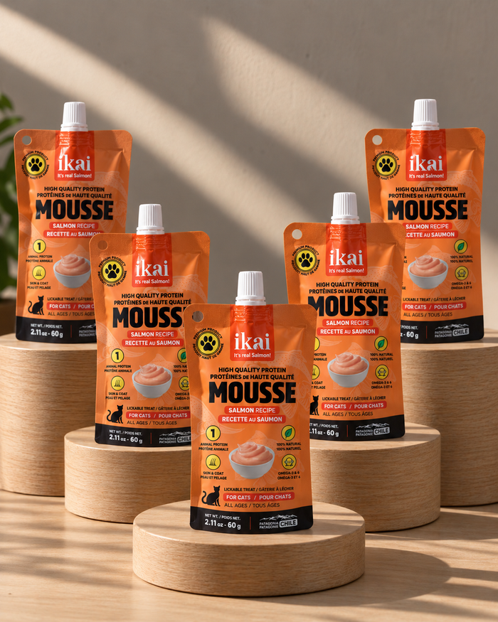 Pack GATO: 5 Mousse
